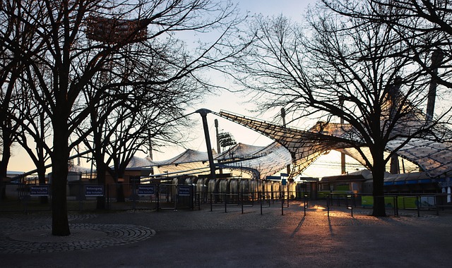 市场代言和 市场代言和